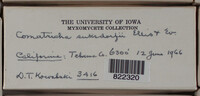 Image Associated With the Occurence